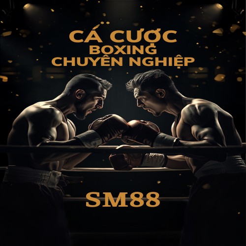 Cá Cược Boxing Chuyên Nghiệp Tại SM88 – Hướng Dẫn Đọc Kèo Cho Người Mới